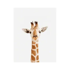 Baby Giraffe Little Darling Print